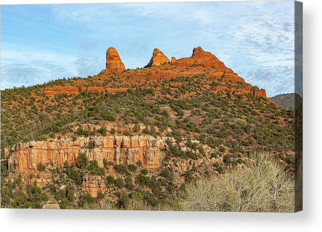 Arizona Acrylic Print featuring the photograph Sedona Red Rocks 15 by Randy Bayne