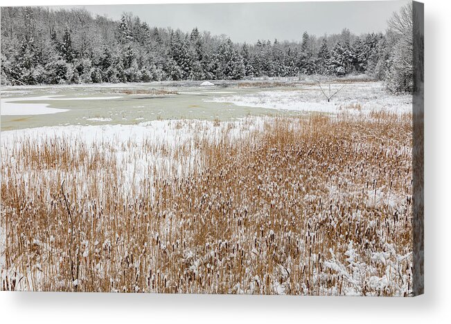 Winter Acrylic Print featuring the photograph Some Other Swamp by Kent O Smith JR