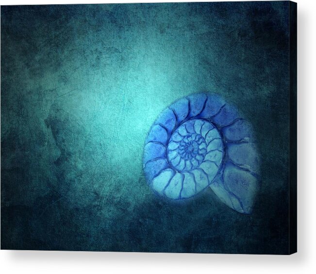 Ammonit Acrylic Print featuring the mixed media Ammonit #1 by Heike Hultsch