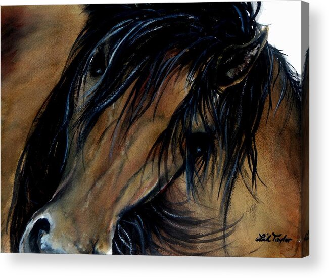 Horse Acrylic Print featuring the painting Bucky by Lil Taylor