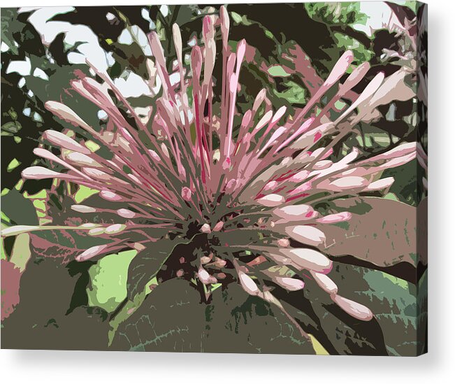 Flower Acrylic Print featuring the photograph Burst of color 3 #1 by Alan Metzger