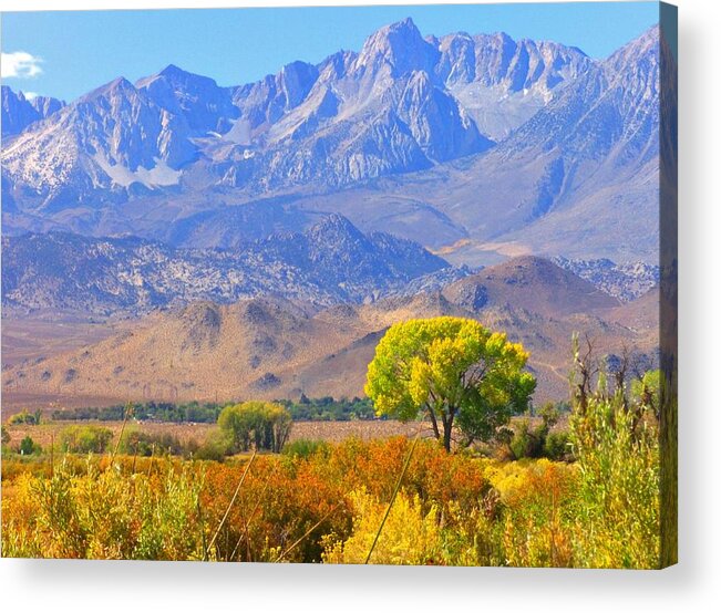 Sky Acrylic Print featuring the photograph Colors Galore #1 by Marilyn Diaz