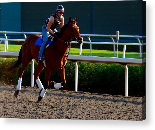 Horse Racing Acrylic Print featuring the photograph Galloping Race Horse #1 by Jeff Lowe