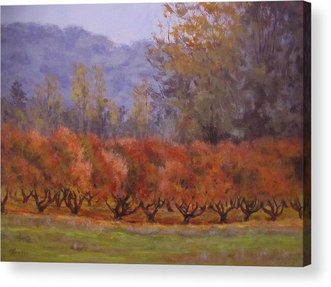 Fall Acrylic Print featuring the painting Autumn Orchard by Karen Ilari