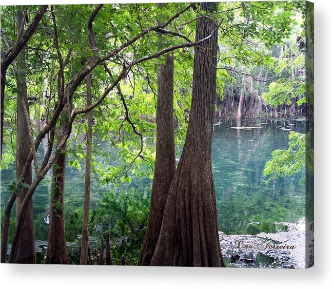 Old Florida Acrylic Print featuring the photograph Florida Springs #1 by Louis Ferreira