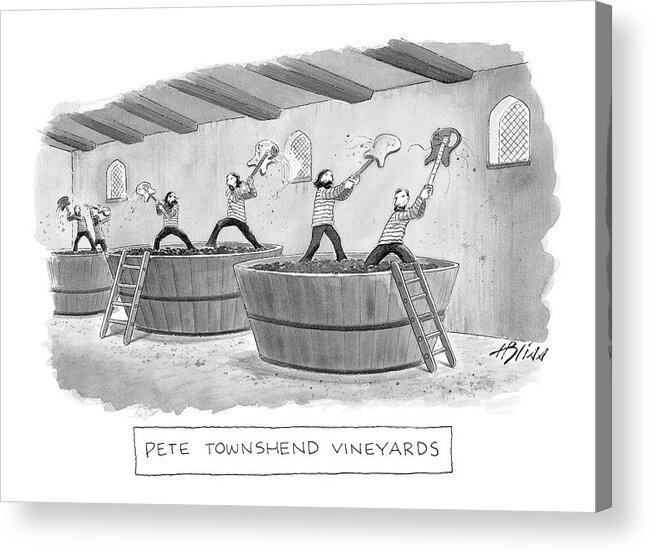 Rock And Roll The Who Workers 

(workers In A Winery Using Guitars To Crush The Grapes.) 120429 Hbl Harry Bliss Acrylic Print featuring the drawing Pete Townshend Vineyards by Harry Bliss