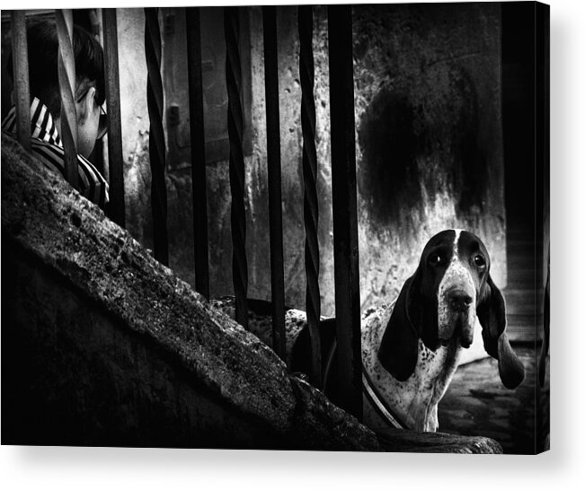 Dog Acrylic Print featuring the photograph Untitled #26 by Antonio Grambone