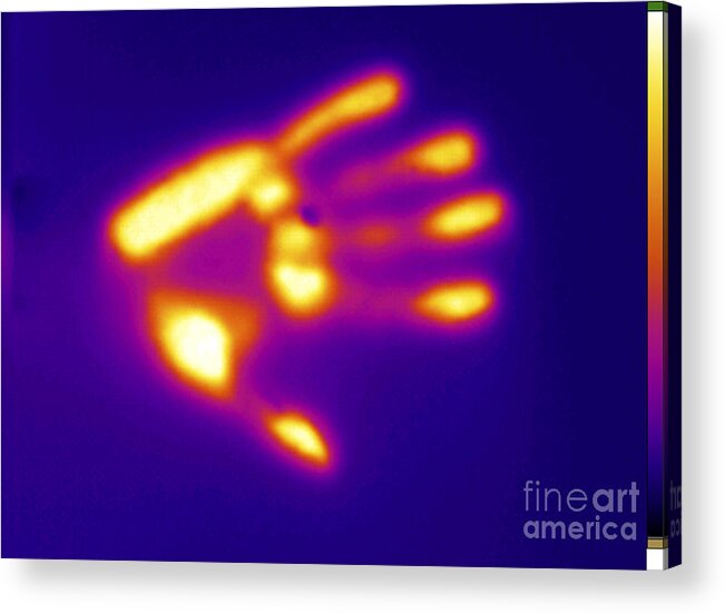 Digital Infrared Thermal Imaging Acrylic Print featuring the photograph Thermal Shadow #4 by GIPhotoStock