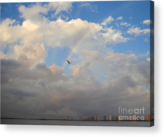 Rainbow Acrylic Print featuring the photograph 6- Rainbow and Seagull by Joseph Keane
