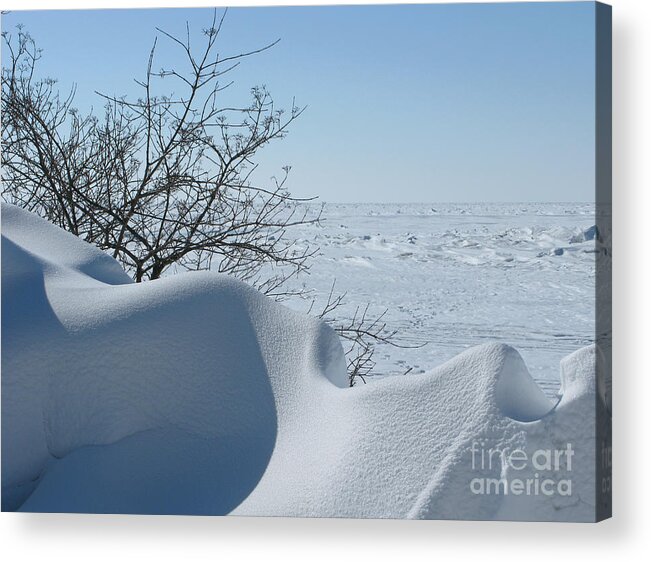 Winter Acrylic Print featuring the photograph A Gentle Beauty by Ann Horn