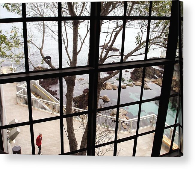 Window Acrylic Print featuring the photograph A scenery through windows by Hiroko Sakai