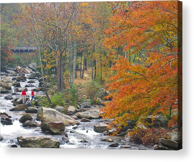 Fall Acrylic Print featuring the photograph Country Living by Robert McKinstry