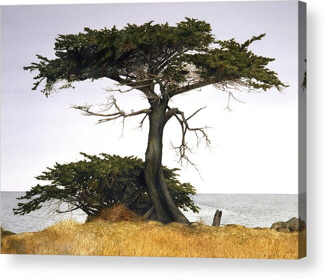 Cypress Tree Acrylic Print featuring the painting Against the Sea by Tom Wooldridge