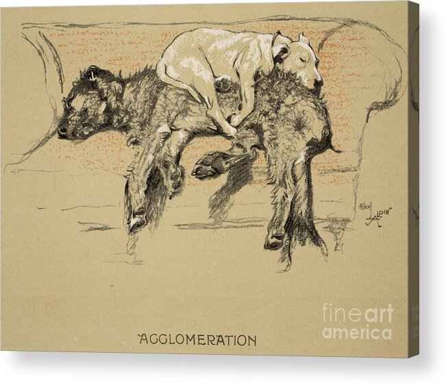 Dogs Acrylic Print featuring the painting Agglomeration by Cecil Charles Windsor Aldin