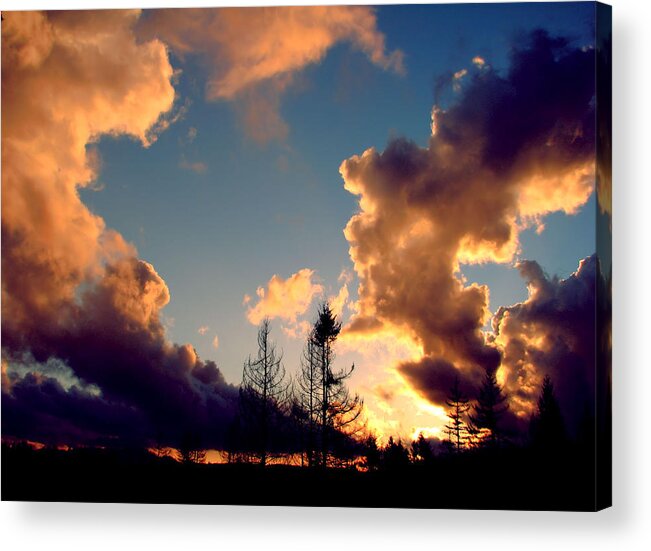 Landscape Acrylic Print featuring the photograph All Kinds Of Weather by Rory Siegel