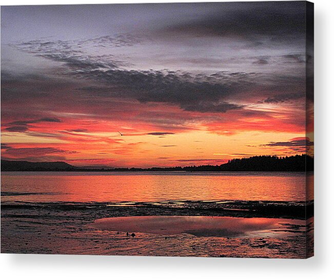 Sunset Acrylic Print featuring the photograph Alluring Sunset by Suzy Piatt