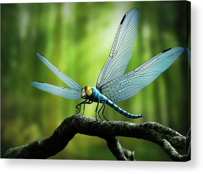 Shimmering Dragonfly, Metallic Watercolors, Lisilinka (Me), A5, 2023 : r/Art
