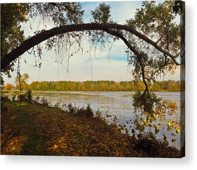 East Harbor Acrylic Print featuring the photograph Autumn at East Harbor State Park 5 by Shawna Rowe