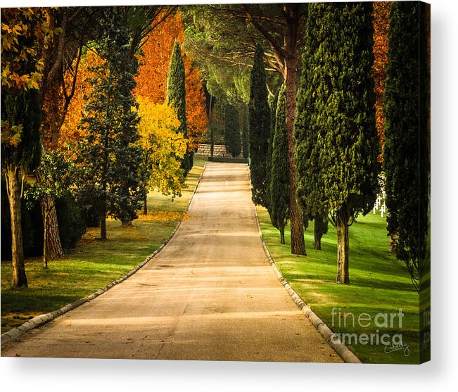 Autumn Drive Acrylic Print featuring the photograph Autumn Drive by Prints of Italy