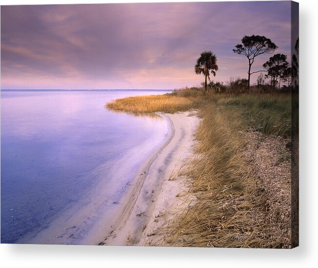 00175930 Acrylic Print featuring the photograph Beach Along Saint Josephs Bay by Tim Fitzharris