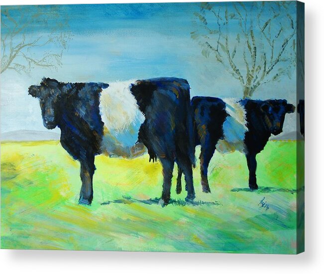 Belted Acrylic Print featuring the painting Belted Galloway Cows by Mike Jory