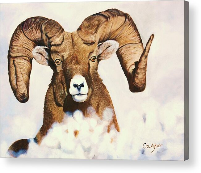 Sheep Acrylic Print featuring the painting Bighorn sheep by Jean Yves Crispo