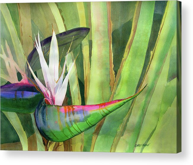 Kris Parins Acrylic Print featuring the painting Bird of Paradise by Kris Parins