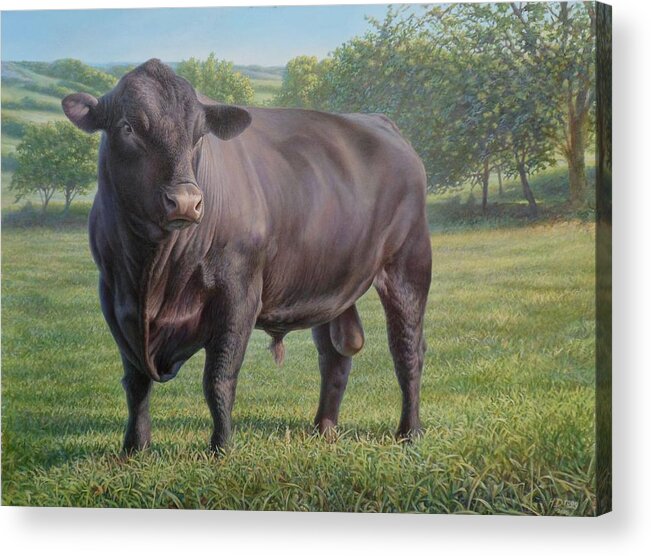 Black Angus Bull Acrylic Print featuring the painting Black Angus Bull 2 by Hans Droog