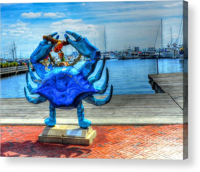 Crab Acrylic Print featuring the photograph Blue Crab by Debbi Granruth