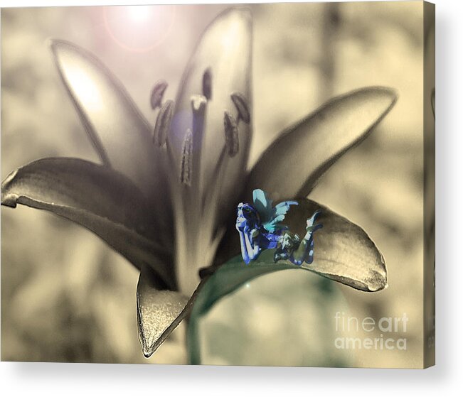 Fairies Acrylic Print featuring the photograph Blue Lily Fairy by Nina Silver