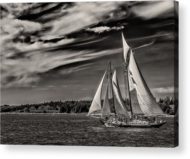 Windjammer Acrylic Print featuring the photograph Bowditch No. 1 by Fred LeBlanc