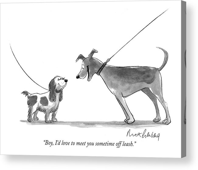 Dogs - General Acrylic Print featuring the drawing Boy, I'd Love To Meet You Sometime Off Leash by Mort Gerberg