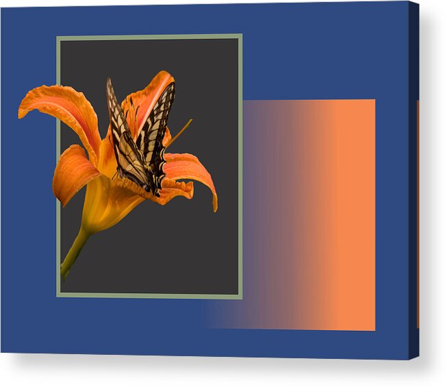 Hdr Acrylic Print featuring the digital art Butterfly on Day Lily by Larry Capra