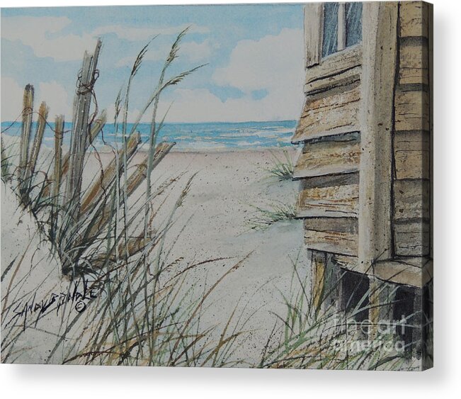 Watercolor Acrylic Print featuring the painting Calling Me SOLD by Sandy Brindle