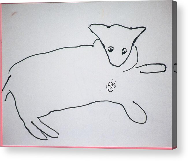 Cat Acrylic Print featuring the drawing Cat drawing by AJ Brown