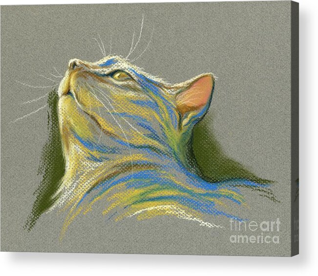 Cat Acrylic Print featuring the pastel Cat Looking up to Heaven by MM Anderson