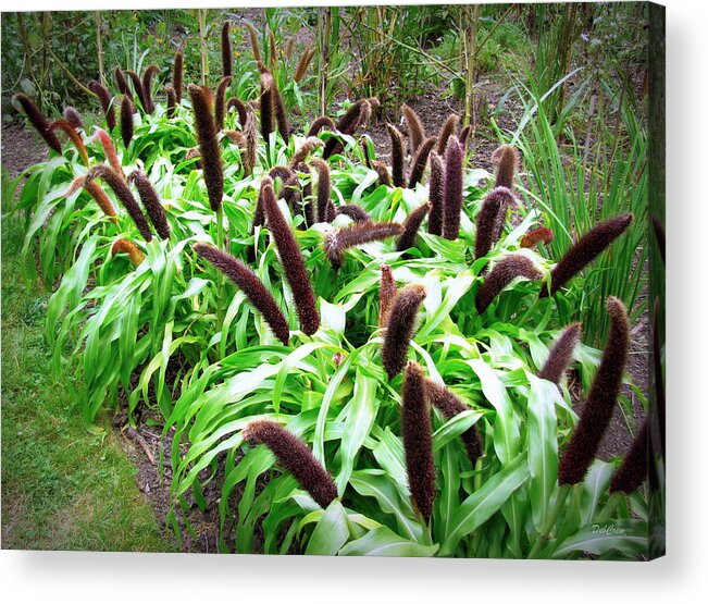 Cat Tails Acrylic Print featuring the photograph Cat Tail Plants by Deborah Crew-Johnson