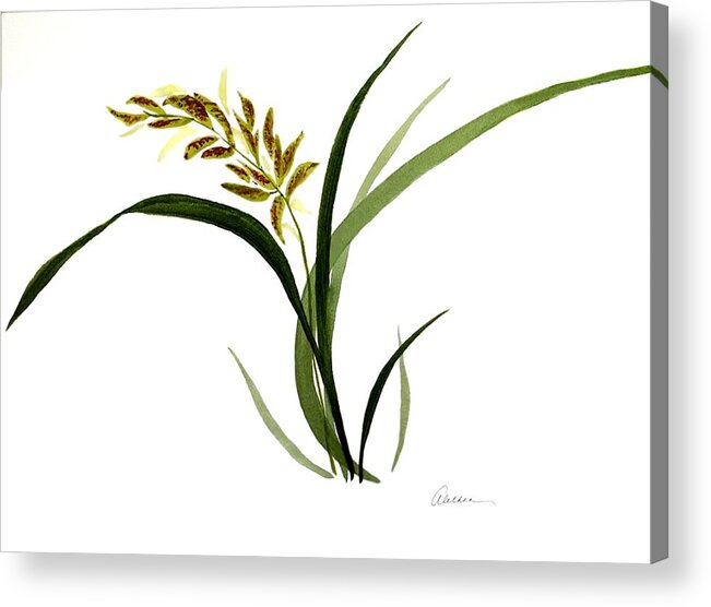 Flora Acrylic Print featuring the painting Chinese Wild Orchid #4 by Alethea M