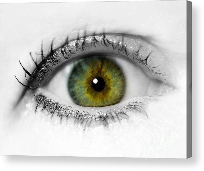 Eye Acrylic Print featuring the photograph Close Up Eye by Amanda Elwell