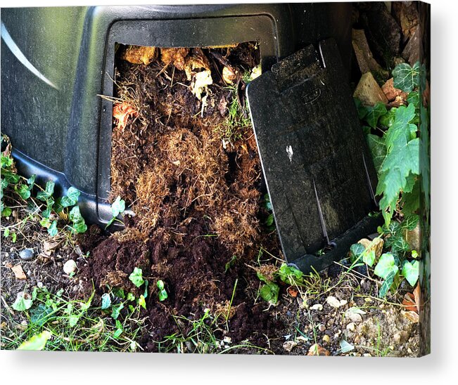 Container Acrylic Print featuring the photograph Compost Bin by Gustoimages/science Photo Library