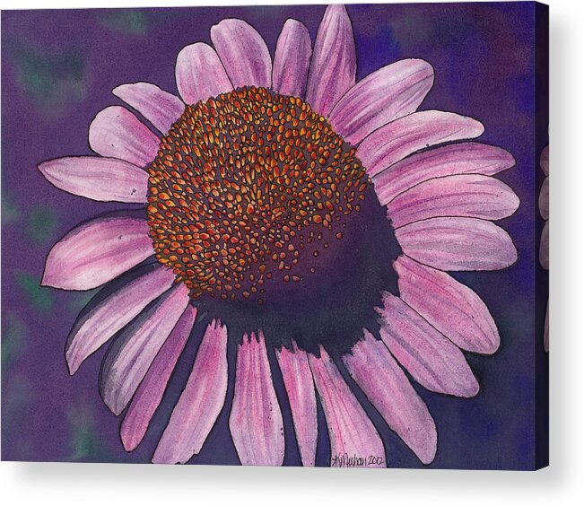 Coneflower Acrylic Print featuring the painting Coneflower by Kerri Meehan