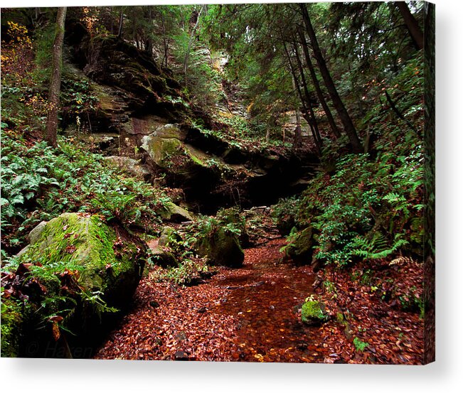 Landscape Acrylic Print featuring the photograph Conkles Hollow Gorge by Haren Images- Kriss Haren