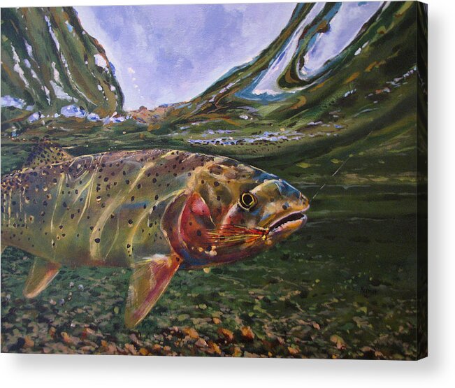 Fish Acrylic Print featuring the painting Cutthroat Hooked in the Ripple by Les Herman