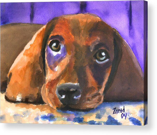 Dog Acrylic Print featuring the painting Dachshund Watercolor by Mary Jo Zorad
