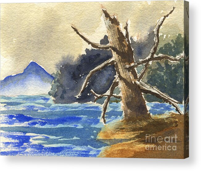 Dead Tree Acrylic Print featuring the painting Dead Tree by the Lake by Beverly Claire Kaiya