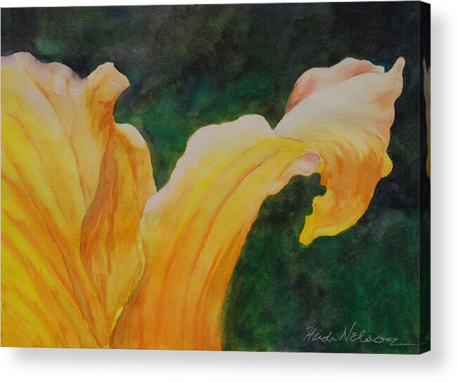 Floral Acrylic Print featuring the painting Delicate petal by Heidi E Nelson