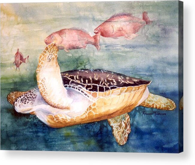 Sea Turtle Acrylic Print featuring the painting Determined - Loggerhead Sea Turtle by Roxanne Tobaison