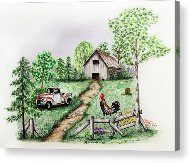 Farm Acrylic Print featuring the drawing Down on the Farm by Lena Auxier