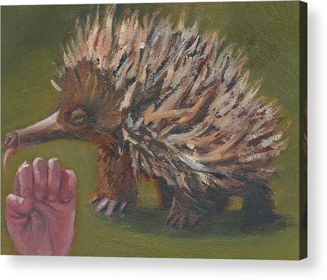 E Is For Echidna Acrylic Print featuring the painting E is for Echidna by Jessmyne Stephenson