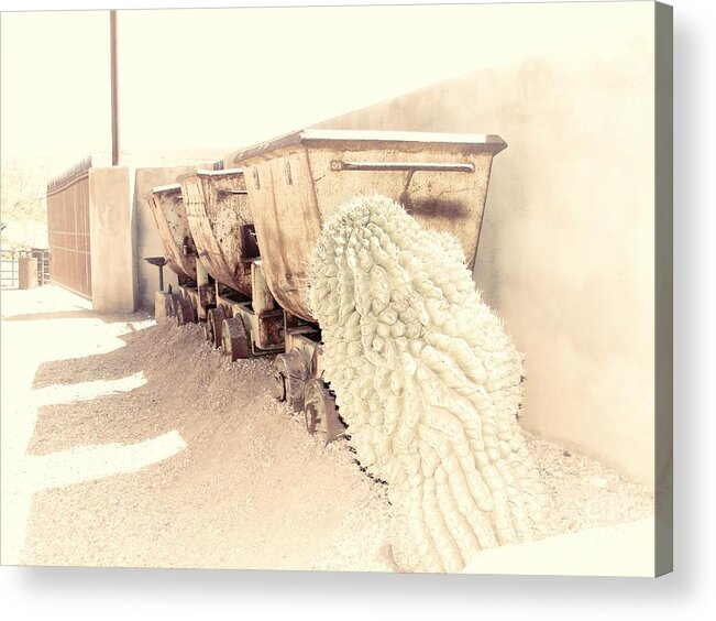 Catus Acrylic Print featuring the digital art End of the Line II by Carol Oufnac Mahan